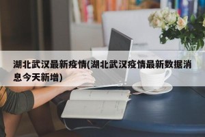 湖北武汉最新疫情(湖北武汉疫情最新数据消息今天新增)