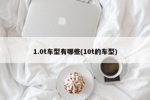 1.0t车型有哪些(10t的车型)